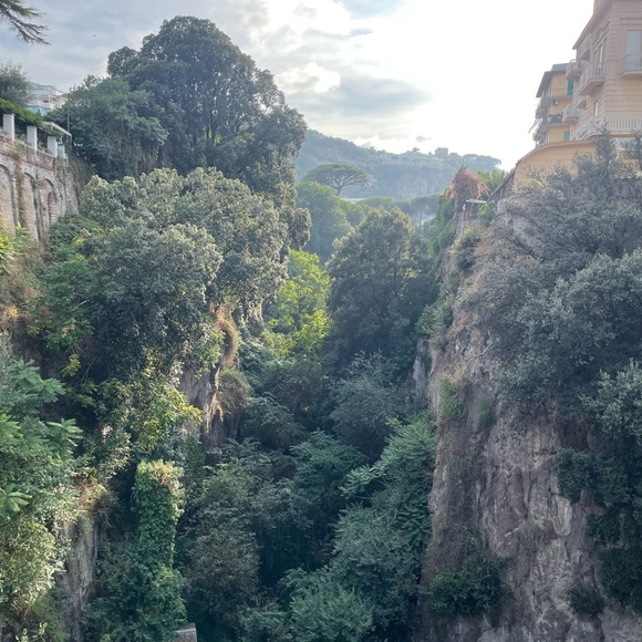 Meet your Posher, Dajuan - Picture 1 of 1